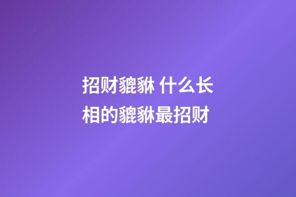 招财貔貅 什么长相的貔貅最招财